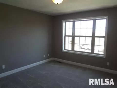 11233 N Onyx Ln, Dunlap, IL 61525 photo 19
