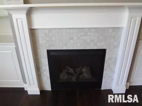 11233 N Onyx Ln, Dunlap, IL 61525 photo 8