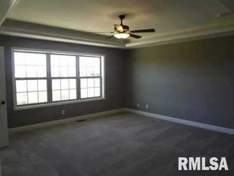11233 N Onyx Ln, Dunlap, IL 61525 photo 14