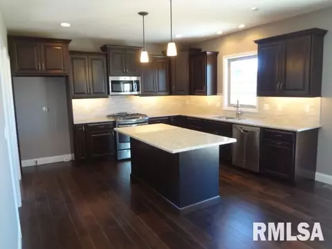 11233 N Onyx Ln, Dunlap, IL 61525 photo 3