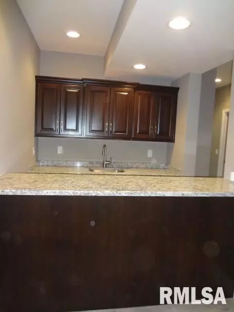 11233 N Onyx Ln, Dunlap, IL 61525 photo 25