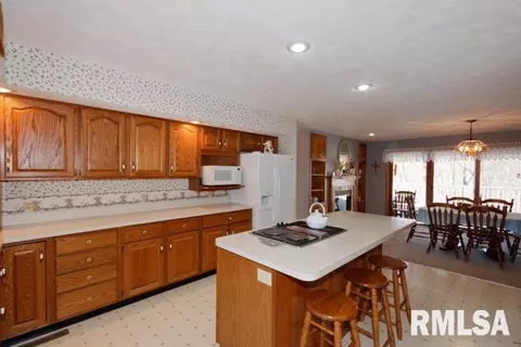 25234 E County Highway 27, Canton, IL 61520 photo 14