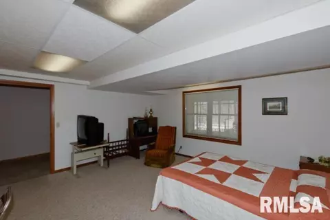 25234 E County Highway 27, Canton, IL 61520 photo 36