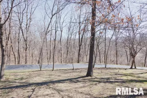25234 E County Highway 27, Canton, IL 61520 photo 10