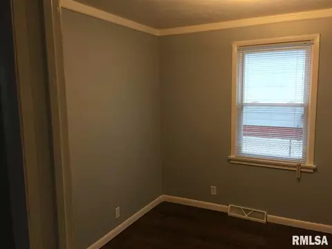 336 E Birch St, Canton, IL 61520 photo 9