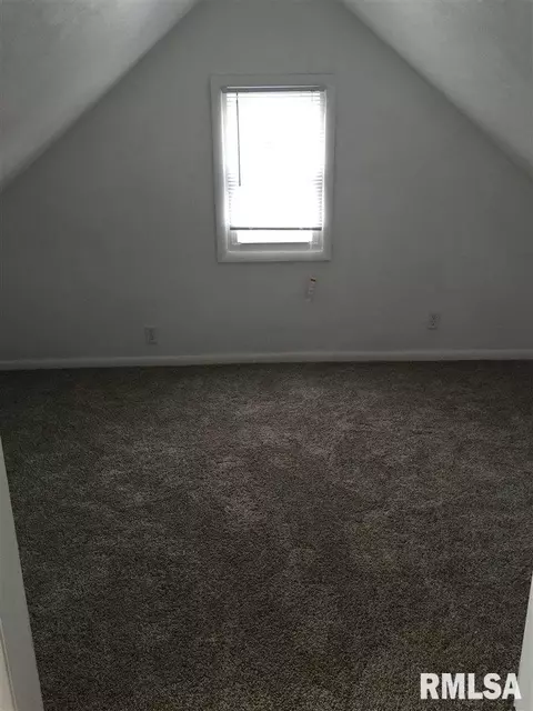 336 E Birch St, Canton, IL 61520 photo 27