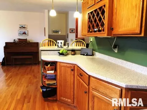 1017 Redbud Ln, Eureka, IL 61530 photo 3