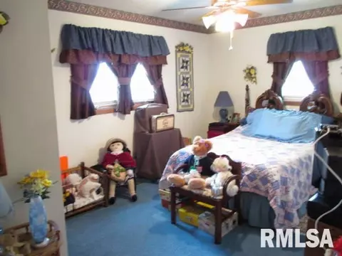 212 Apple Dr, Metamora, IL 61548 photo 19