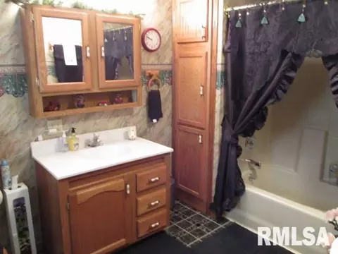 212 Apple Dr, Metamora, IL 61548 photo 30