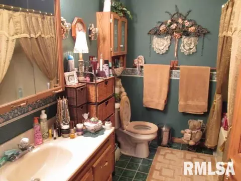 212 Apple Dr, Metamora, IL 61548 photo 16