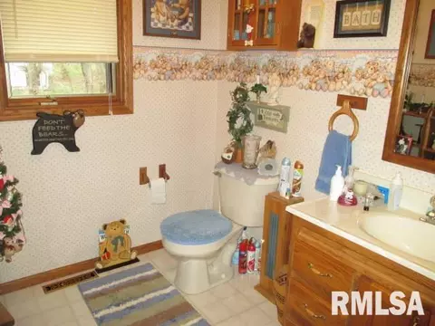 212 Apple Dr, Metamora, IL 61548 photo 13