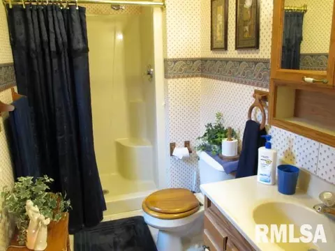 212 Apple Dr, Metamora, IL 61548 photo 18