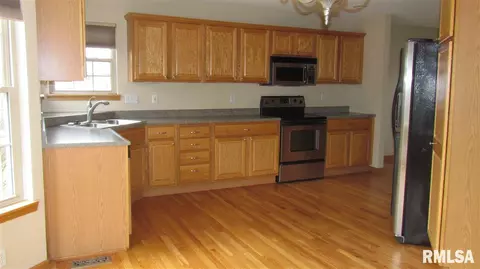 102 Seth Ct, Germantown Hills, IL 61548 photo 3