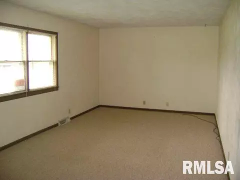 807 N Main Ave, Wyoming, IL 61491 photo 11