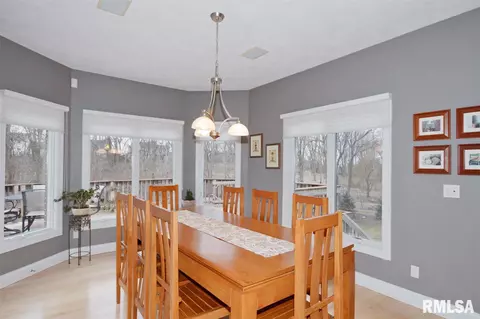2316 W Pinnacle Dr, Dunlap, IL 61525 photo 15