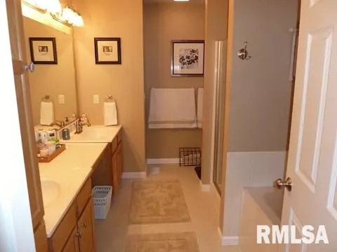 2303 W Marks Pl, Dunlap, IL 61525 photo 18
