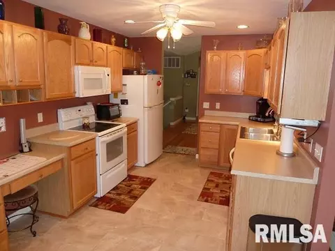 2303 W Marks Pl, Dunlap, IL 61525 photo 12