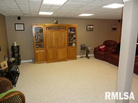 2303 W Marks Pl, Dunlap, IL 61525 photo 23
