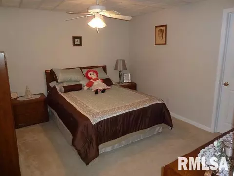 2303 W Marks Pl, Dunlap, IL 61525 photo 29