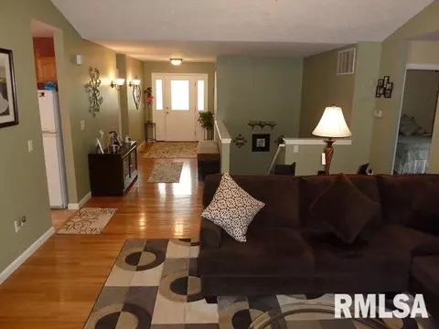 2303 W Marks Pl, Dunlap, IL 61525 photo 6