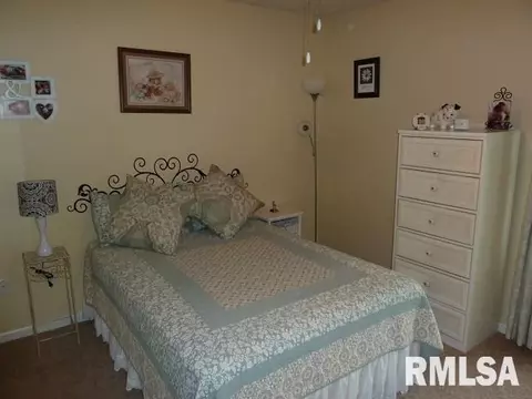 2303 W Marks Pl, Dunlap, IL 61525 photo 19