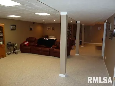 2303 W Marks Pl, Dunlap, IL 61525 photo 22