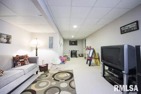 11337 N Columbine Dr, Dunlap, IL 61525 photo 30