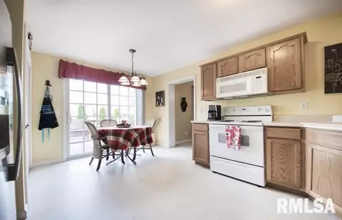 11337 N Columbine Dr, Dunlap, IL 61525 photo 18