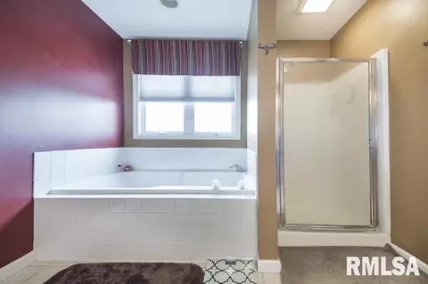 11337 N Columbine Dr, Dunlap, IL 61525 photo 24