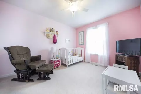 11337 N Columbine Dr, Dunlap, IL 61525 photo 27