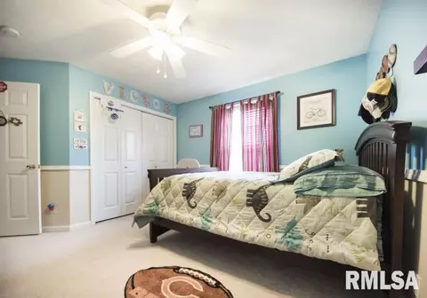 11337 N Columbine Dr, Dunlap, IL 61525 photo 25