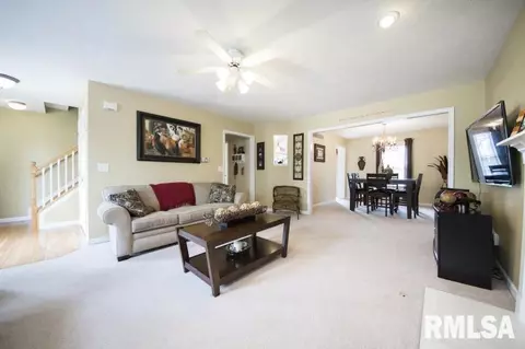 11337 N Columbine Dr, Dunlap, IL 61525 photo 11