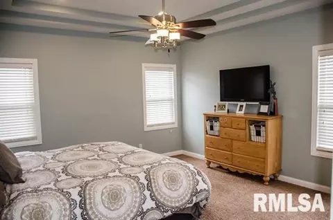 105 E Lee St, Tremont, IL 61568 photo 8