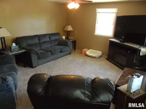 1429 E Tripp, Peoria, IL 61603 photo 7