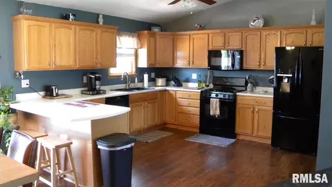 4435 S Lake Camelot Dr, Mapleton, IL 61547 photo 4