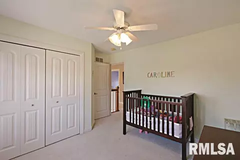 6803 N Sumac, Edwards, IL 61528 photo 28