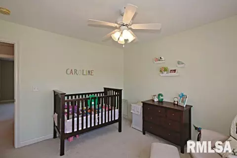 6803 N Sumac, Edwards, IL 61528 photo 27