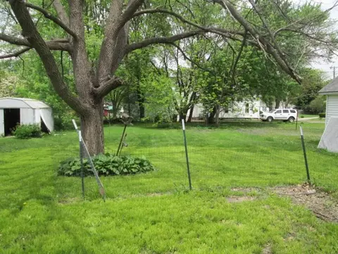 985 E Ash, Canton, IL 61520 photo 2
