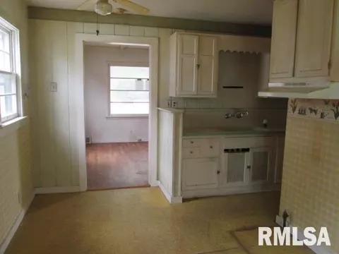 985 E Ash, Canton, IL 61520 photo 4