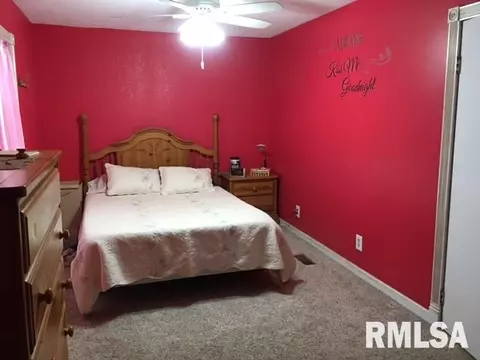 536 Johnson Ct, Canton, IL 61520 photo 28