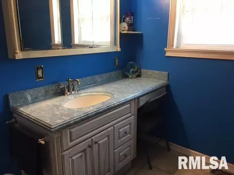 536 Johnson Ct, Canton, IL 61520 photo 31