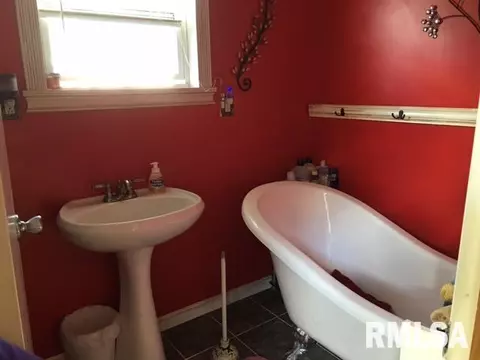 536 Johnson Ct, Canton, IL 61520 photo 33