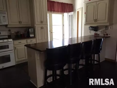 536 Johnson Ct, Canton, IL 61520 photo 19