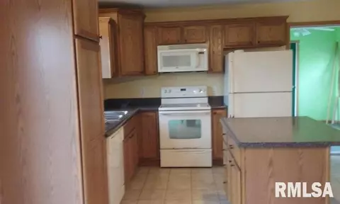 24488 E Rawalt, Canton, IL 61520 photo 20