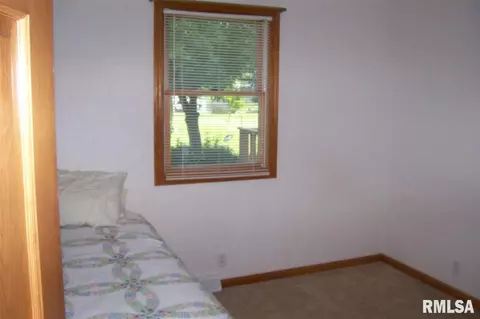 1234 E Locust St, Canton, IL 61520 photo 32