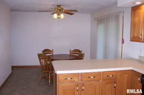 1234 E Locust St, Canton, IL 61520 photo 22