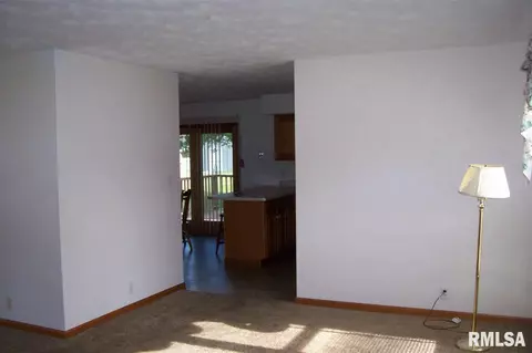 1234 E Locust St, Canton, IL 61520 photo 13