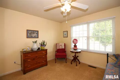 2304 W Marks Pl, Dunlap, IL 61525 photo 16