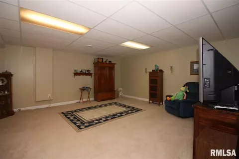 2304 W Marks Pl, Dunlap, IL 61525 photo 21