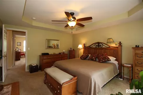 2304 W Marks Pl, Dunlap, IL 61525 photo 13